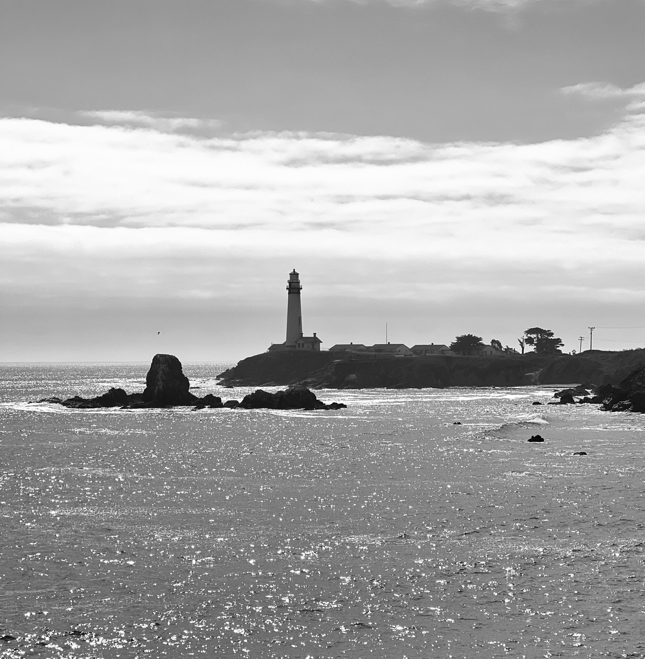 "A stunning view of the sun-kissed California Coast, featuring scenic cliffs, turquoise waters, and vibrant marine life under sunny skies."